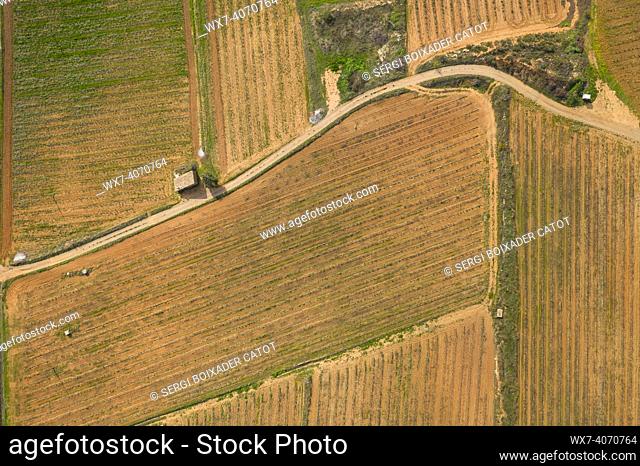 Aerial view of cultivated fields (fruit trees, vineyards and olive trees) in the Gandesa-Bot depression, in Terra Alta (Tarragona, Catalonia, Spain)