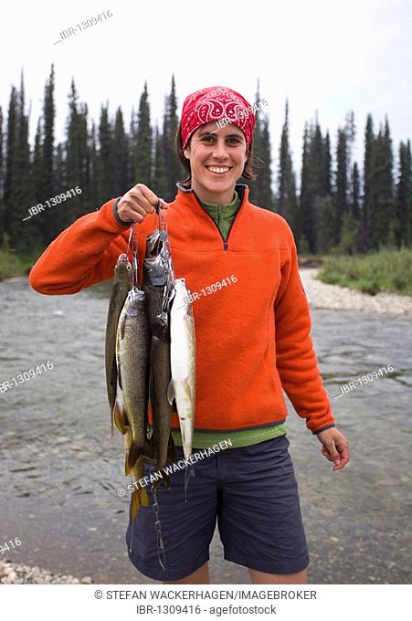 Young woman fishing, presenting her catch, Arctic graylings (Thymallus arcticus), upper Liard River, Yukon Territory, Canada