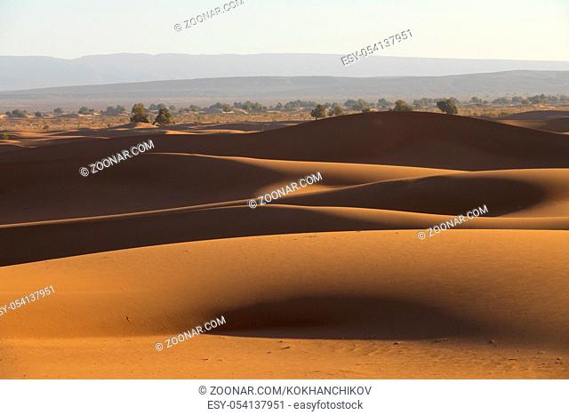 Big sand dunes in Sahara desert landscape