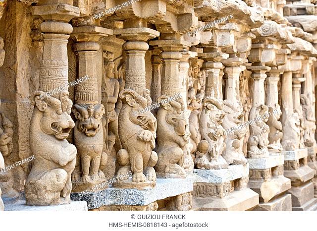 India, Tamil Nadu State, Kanchipuram, the 8th century Kailasanatha temple built by the Pallava and dedicated to Shiva