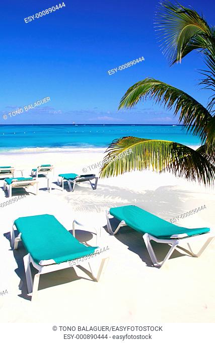 Caribbean beach turquoise sea with green hammocks