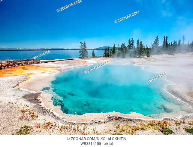 Hot thermal spring Black Pool in Yellowstone National Park, West Thumb Geyser Basin area, Wyoming, USA