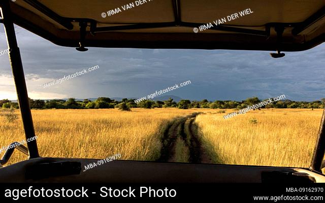 Tanzania, Northern Tanzania, Serengeti National Park, Ngorongoro Crater, Tarangire, Arusha and Lake Manyara, Jeep safari in thunderstorm mood