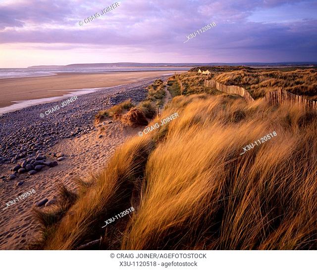Sand Dunes at Westward Ho! and Northam Burrows in the evening sunlight, Devon, England, United Kingdom