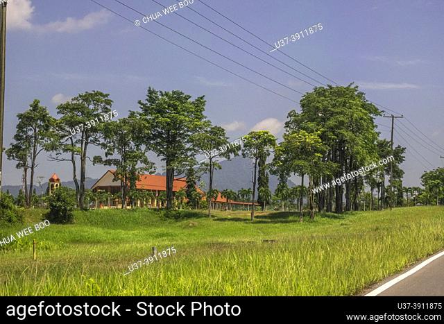 Trees at Tebedu township, Sarawak, East Malayisa, Borneo