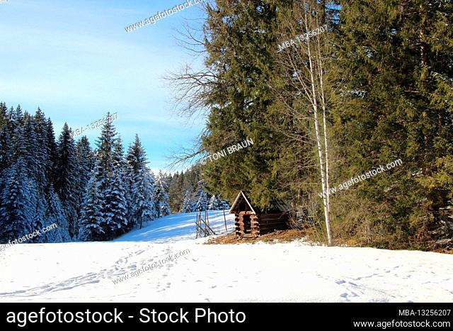 Winter hike near Mittenwald, near Elmau, Klais, Europe, Germany, Bavaria, Upper Bavaria, Werdenfels, winter, atmospheric