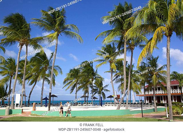 West Indies, Caribbean, Antigua, Long Bay, Palm Trees at Pineapple Beach Resort