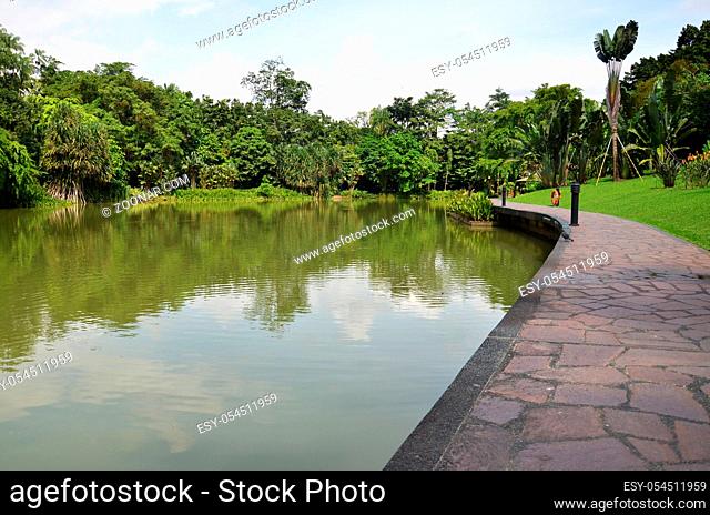 Lake in public park surrounded by green field and trees at Singapore Botanic Garden