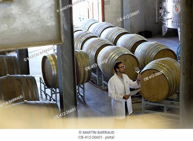 Vintner in lab coat examining wine in winery cellar