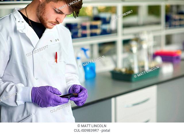 Scientist in laboratory texting on smartphone