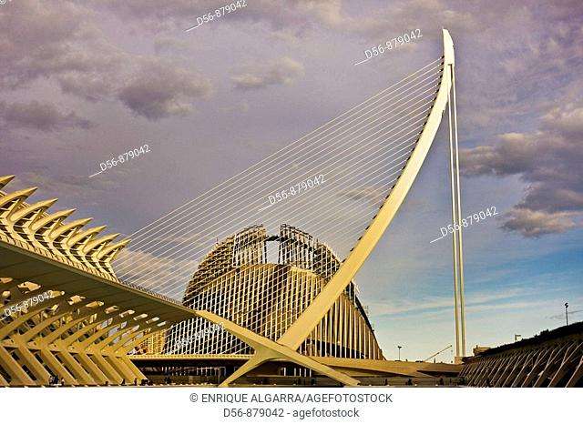 Agora and Assut d'or bridge, Ciudad de las Artes y las Ciencias, Valencia, Comunidad Valenciana, Spain