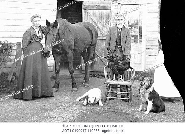 Negative - Man & Woman with Animals, Sale, Victoria, pre 1915, Dr Archibald MacDonald (Snr) and Christina MacDonald, with a horse