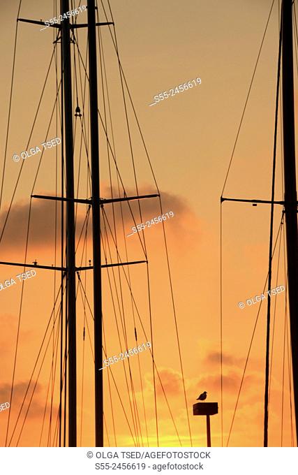 Masts in the sunset. Maremagnum area, Port Vell, Barcelona, Catalonia, Spain