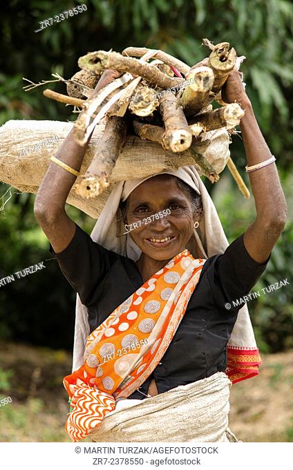 Portrait of a Tamil woman near Ella, Southern Highlands, Sri Lanka