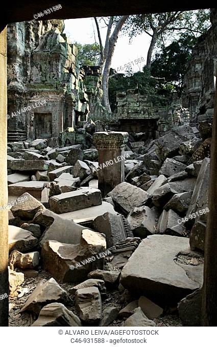 Ta Prohm temple. Angkor. Cambodia