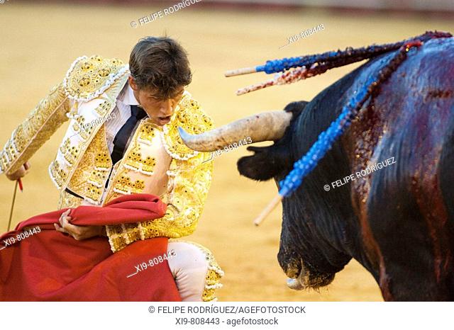 Bullfighter César Girón. Plaza de toros de la Real Maestranza de Caballería de Sevilla. Seville. Spain