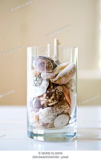 Seashells in glass