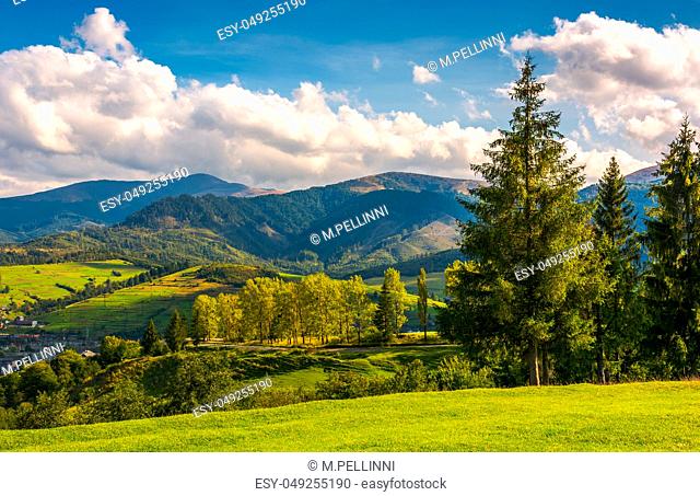 beautiful landscape in mountains. trees on the grassy hills of the Volovets serpentine. village at the foot of the mountain