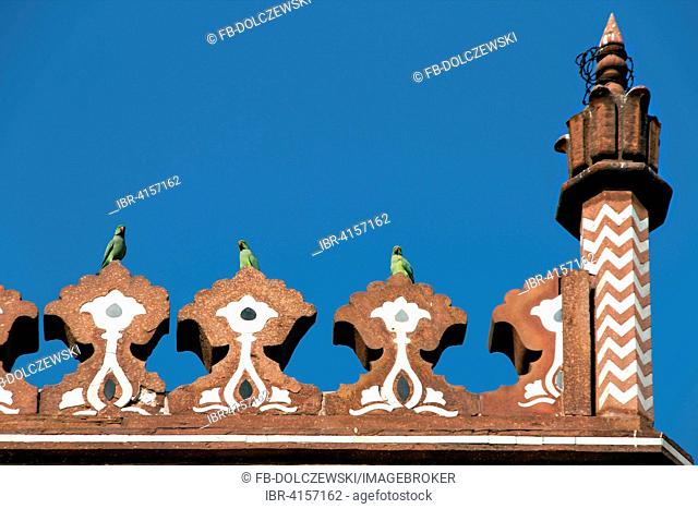 Ring-necked Parakeets (Psittacula krameri manillensis) on the roof ornaments, minaret on the gateway building, Itimad-ud-Daula's Tomb, entrance, Agra