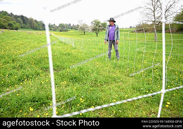 05 May 2022, Baden-Wuerttemberg, Aidlingen: Shepherd Herbert Schaible stands at a pasture next to a herd protection fence