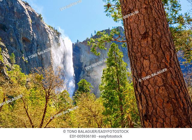 Yosemite Bridalveil fall waterfall National Park California