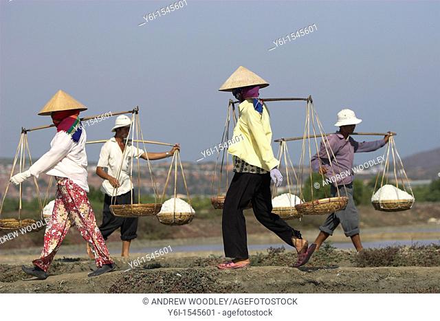 Workers carry salt baskets along dykes between salt ponds Viatnam