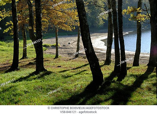 Lac des Settons, Parc Naturel Regional du Morvan, Nievre, Bourgogne, France