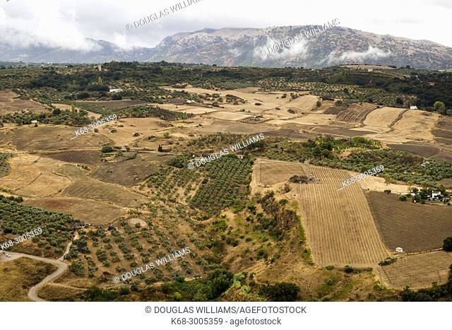 Farmlands outside Ronda, Malaga province, Andalucia, Spain