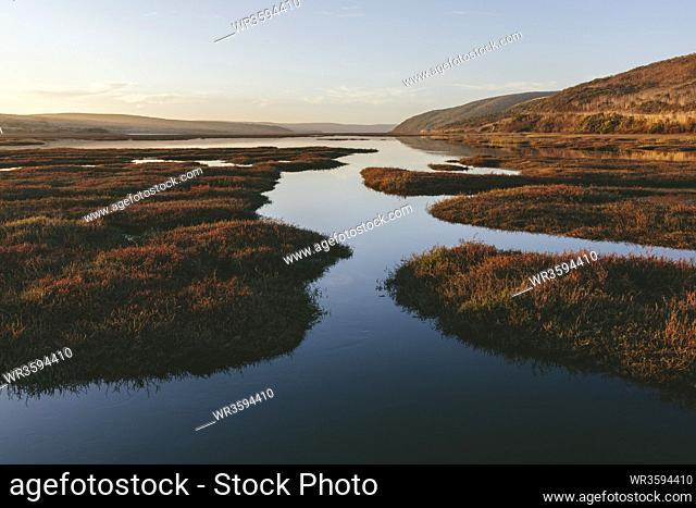 Intertidal estuary with water channels at dusk