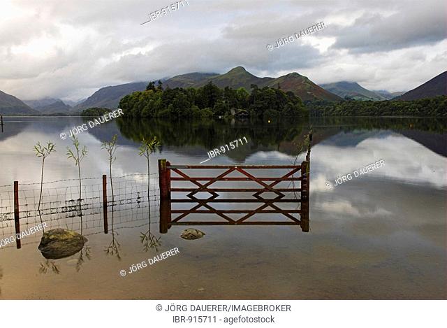 Reflexions in the calm Derwent Water in soft early morning light, Keswick, Cumbria, United Kingdom, Europe