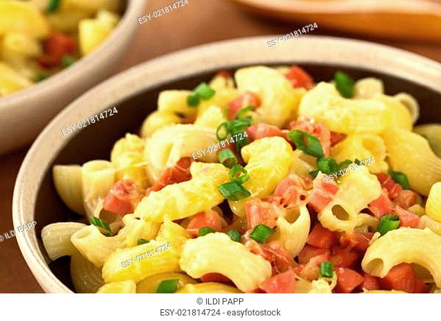 Elbow Pasta with Sausage, Cheese and Green Onion