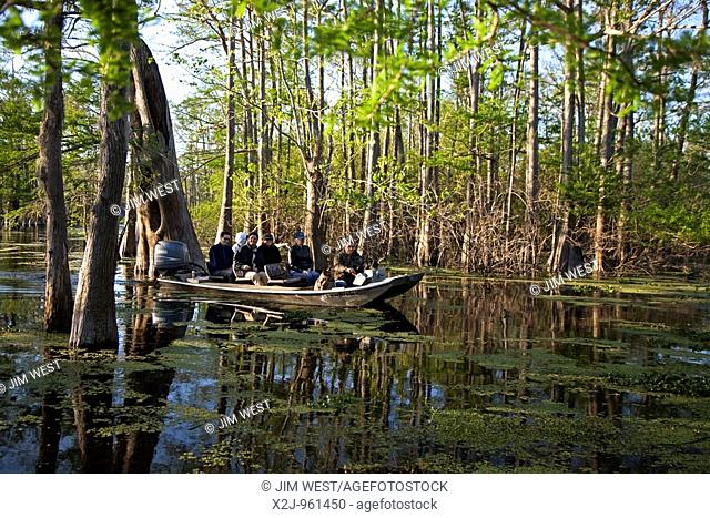 Bayou Sorrel, Louisiana - Tourists visit a cypress-tupelo forest in the Atchafalaya River Basin  The boat tour is led by Dean Wilson