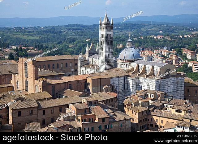 Siena from above, roofs, il Duomo, cathedral , plague, ruin, medieval city