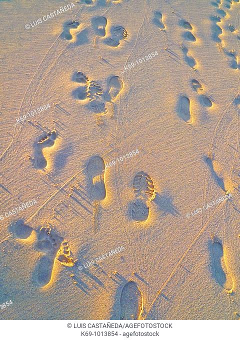 Footprints on the sand, Waikiki Beach, Hawaii, USA