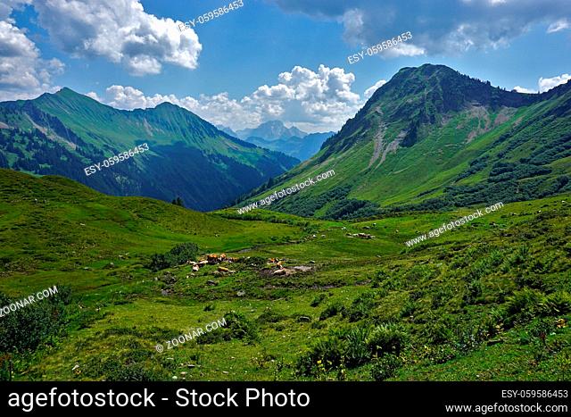Landschaft im Bregenzerwald, Vorarlberg, Österreich, Blick vom Furkajoch bei Damüls zum Großen Walsertal, Austria