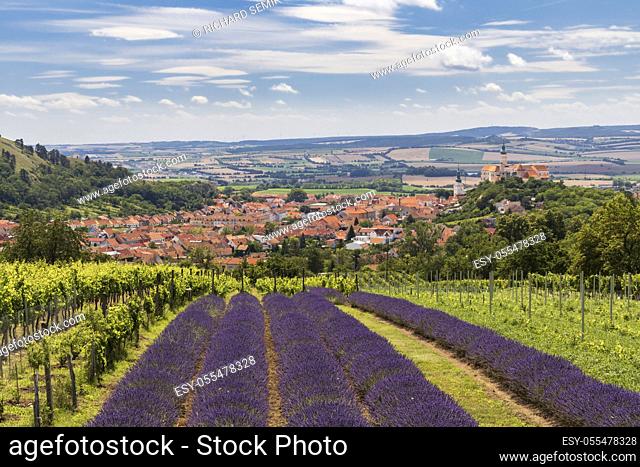 South Moravian town of Mikulov with the lavender field in Czech Republic