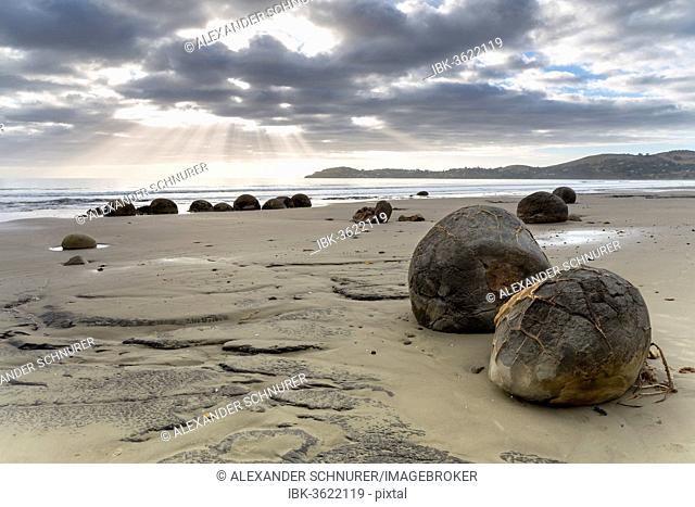 Moeraki Boulders on the beach with sunbeams in the early morning, Moeraki Beach, Hampden, Otago Region, New Zealand
