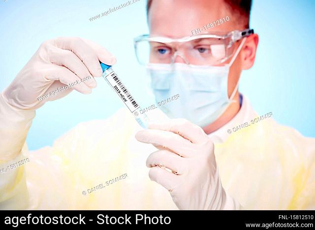 Young laboratory technician looks at test tube with Cornora virus sample
