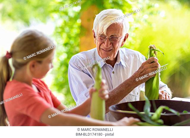 Caucasian grandfather and granddaughter shucking corn