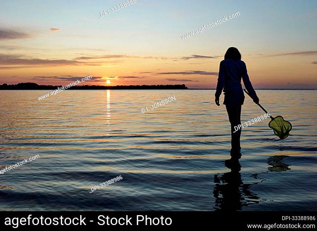 A girl stands in the shallow water by the shore with a little green fishing net in her hand at sunset, Baltic Sea; Germany