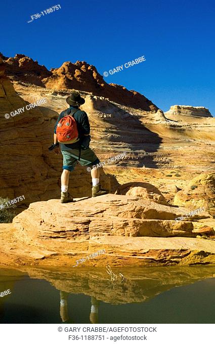 Hiker next to seasonal pool of water at The Wave, Coyote Buttes, Paria Canyon Vermilion Cliffs Wilderness, Arizona