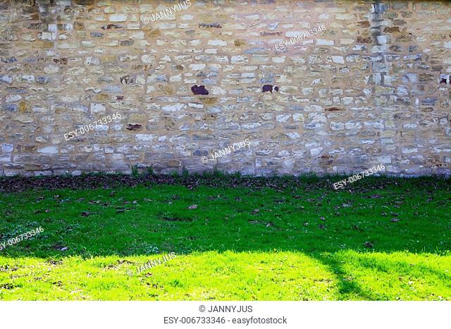 brick wall and green grass