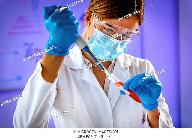 Biotechnology. Laboratory technician with micropipette