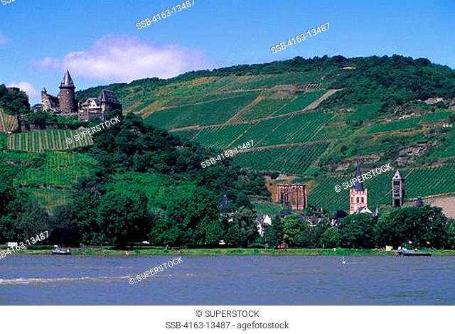 GERMANY, RHINE RIVER, BACHARACH WITH STAHLECK FORTRESS