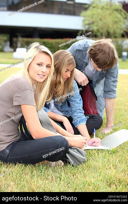 Students working on the grass