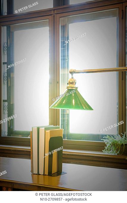 Lamp and books in front of a window