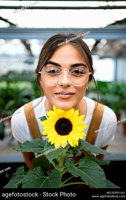 Smiling gardener with sunflower standing in plant nursery