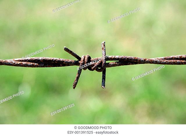 Closeup of rusty barbed wire