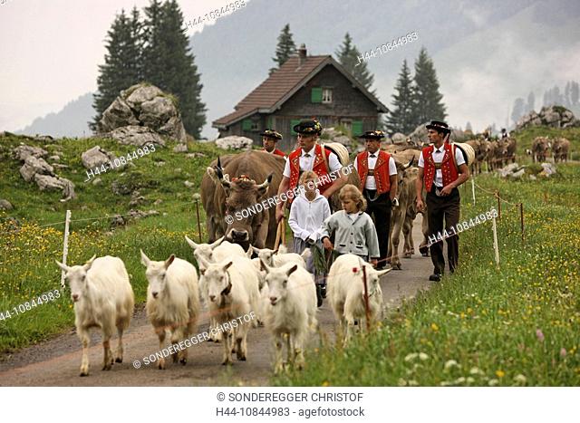Switzerland, Europe, Schwagalp, Outdoor, Outdoors, Outside, landscape, alpine, alps, mountain, mountains, canton Appen