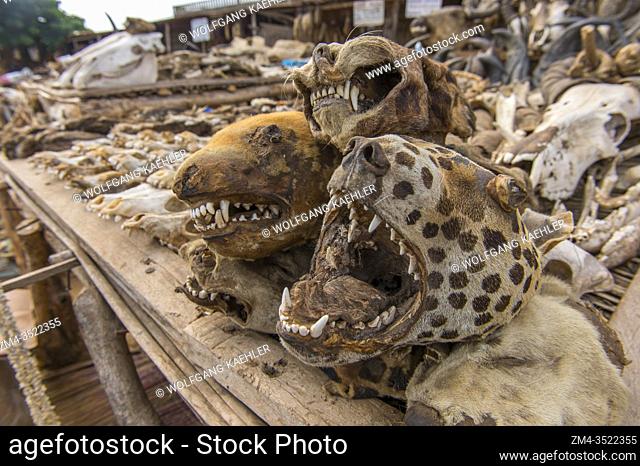 Dead animals on the Akodessewa Fetish Market, in Lome, Togo, known as the world's largest voodoo market